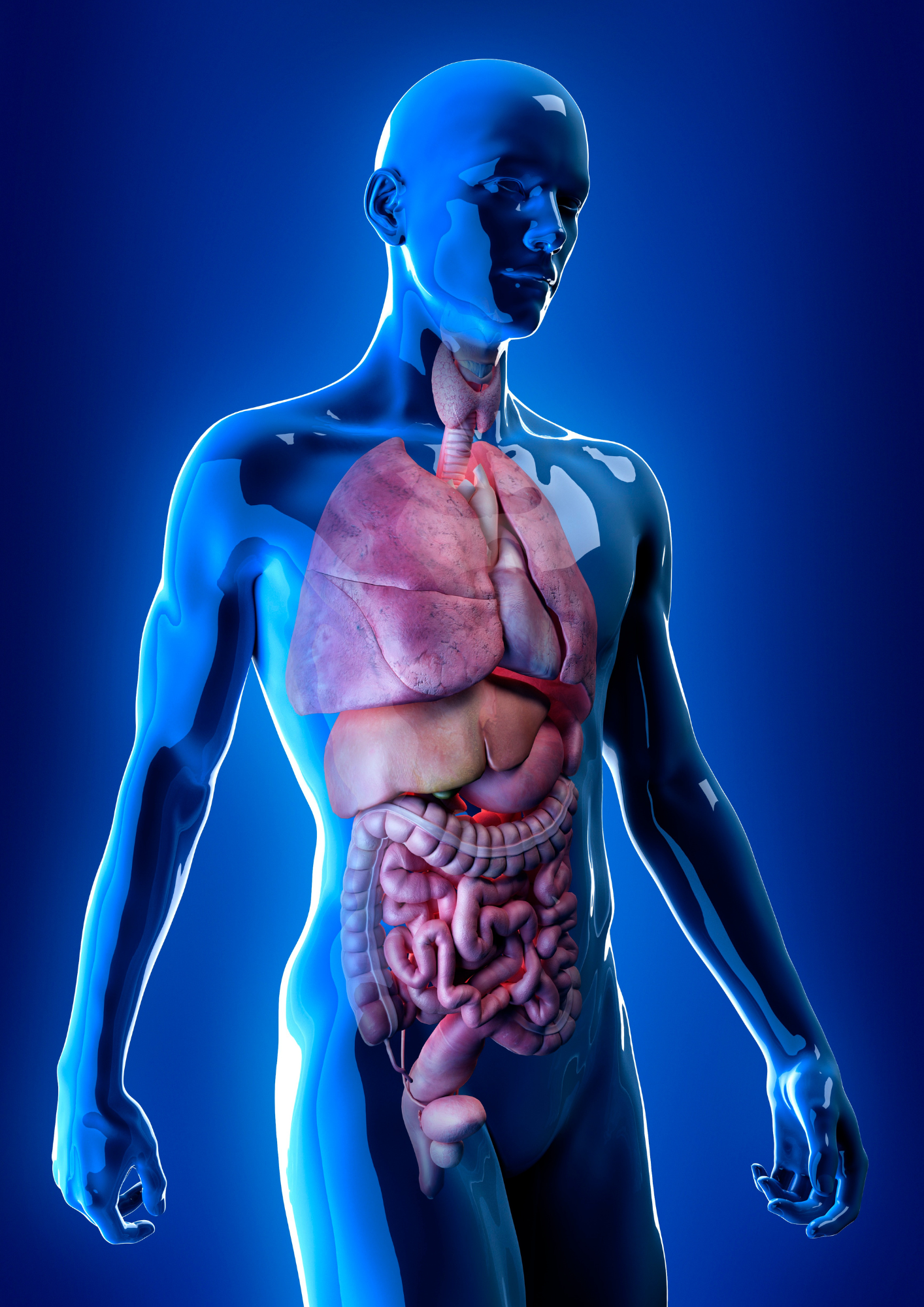 elimination of toxin load