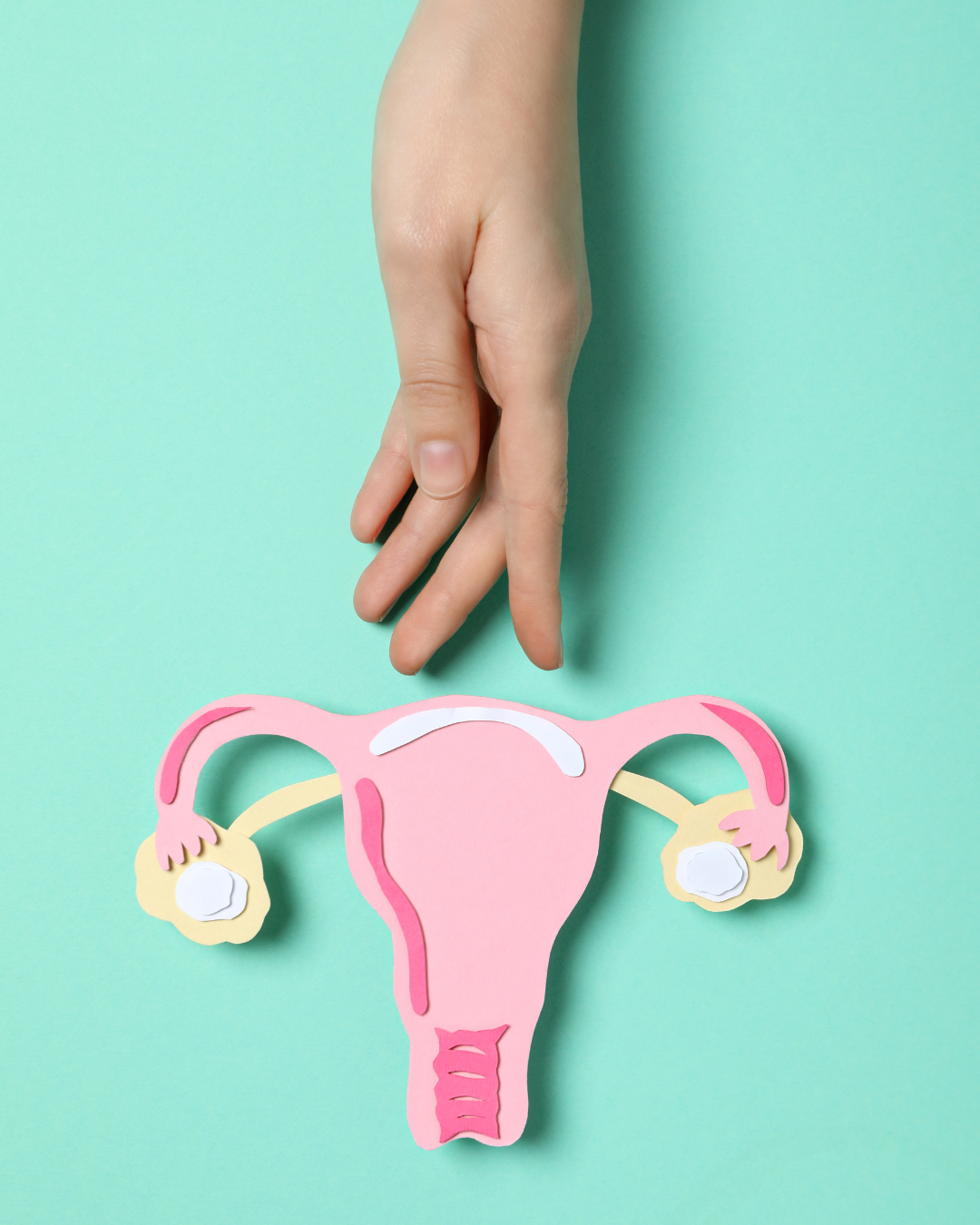 Troubles gynécologique & santé féminine