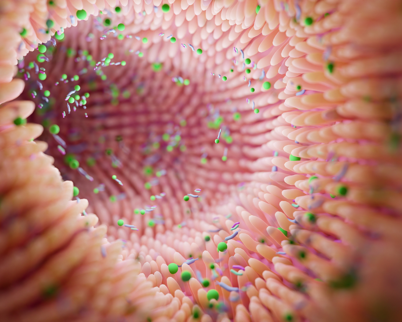 MICROBIOME 2