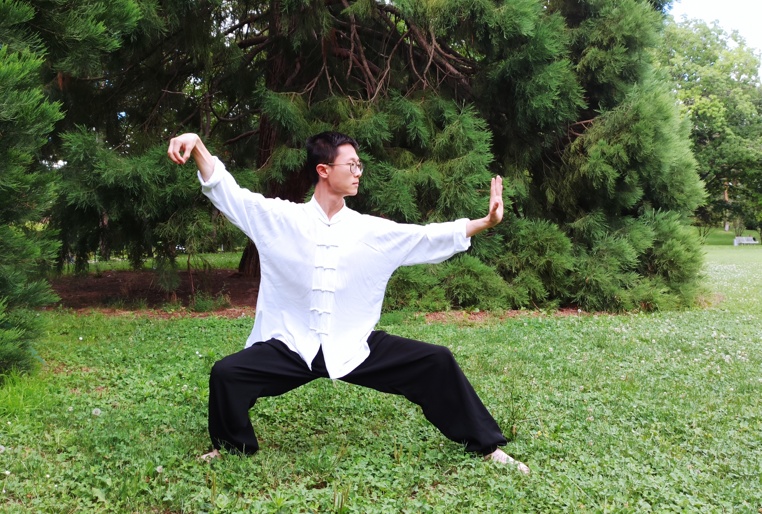 tai ji qi gong tai ji qi gong