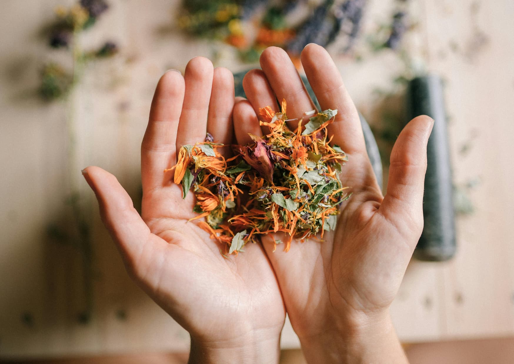 naturopathie 1